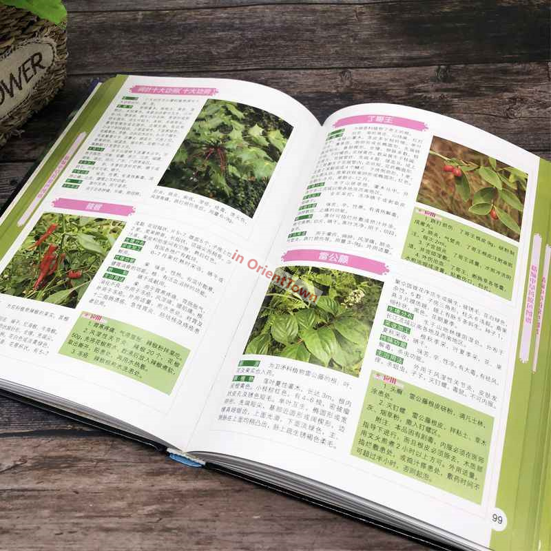 400 Common Herbal Plants Flavo - Wellness Herbal Medicine avaliação e preço