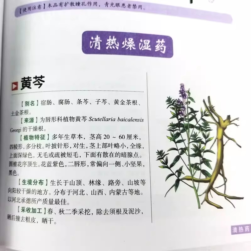 The Ancient Herbarium Holistic - Wellness Herbal Medicine avaliação e preço